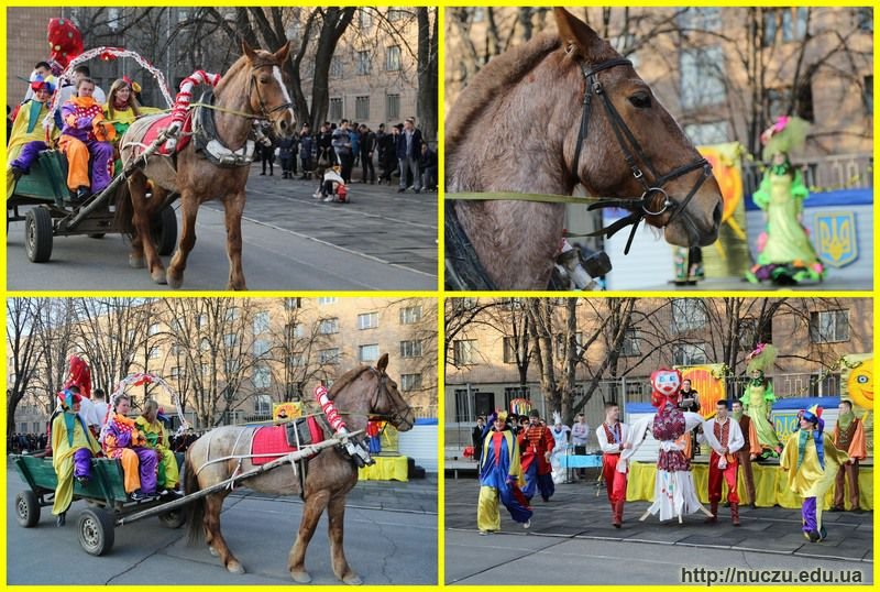 Святкування Масляної у НУЦЗУ 2016